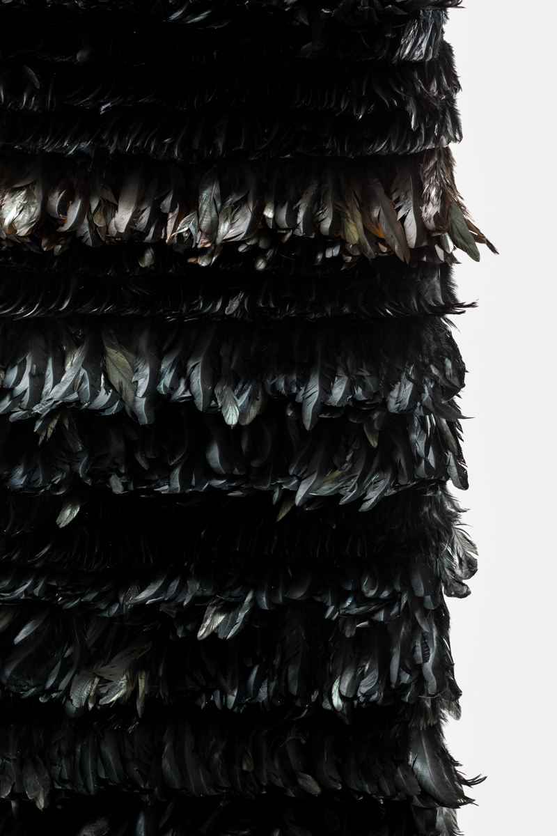 BLACK SWAN - Tracy Kendall Wallpaper (photo - Ollie Harrop)